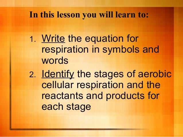 write the equation for cellular respiration write the equation for cellular respiration