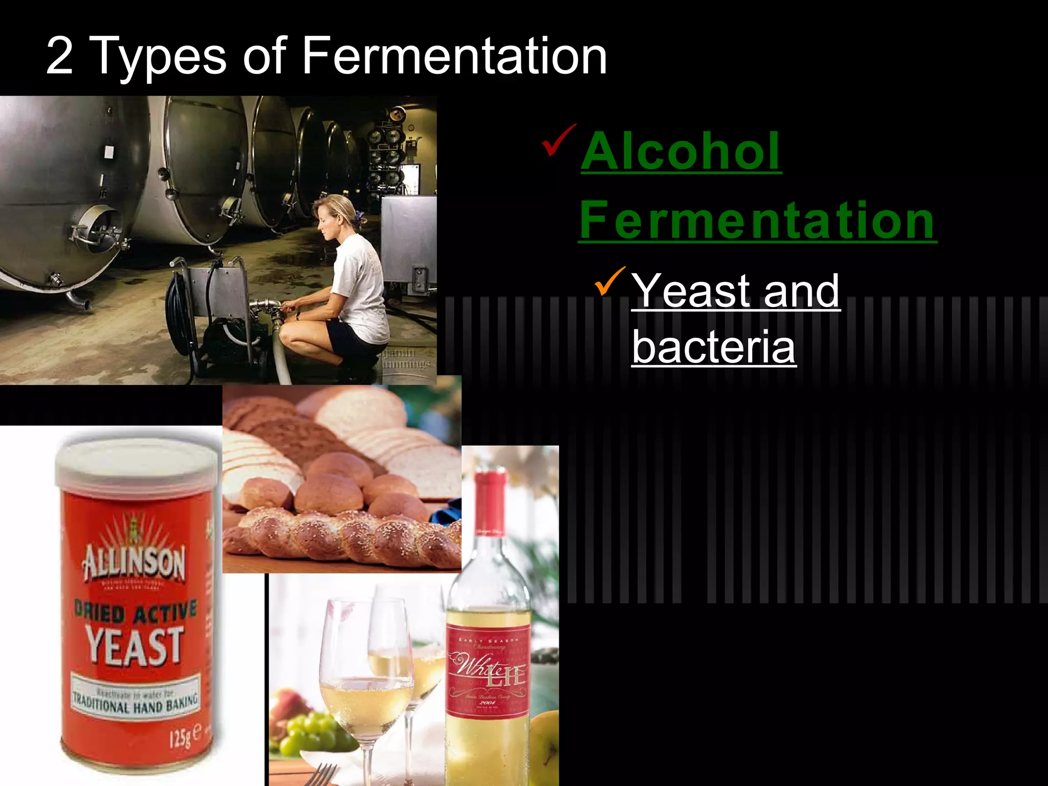 2 Types of Fermentation
AlcoholAlcohol
FermentationFermentation
Yeast and
bacteria
 