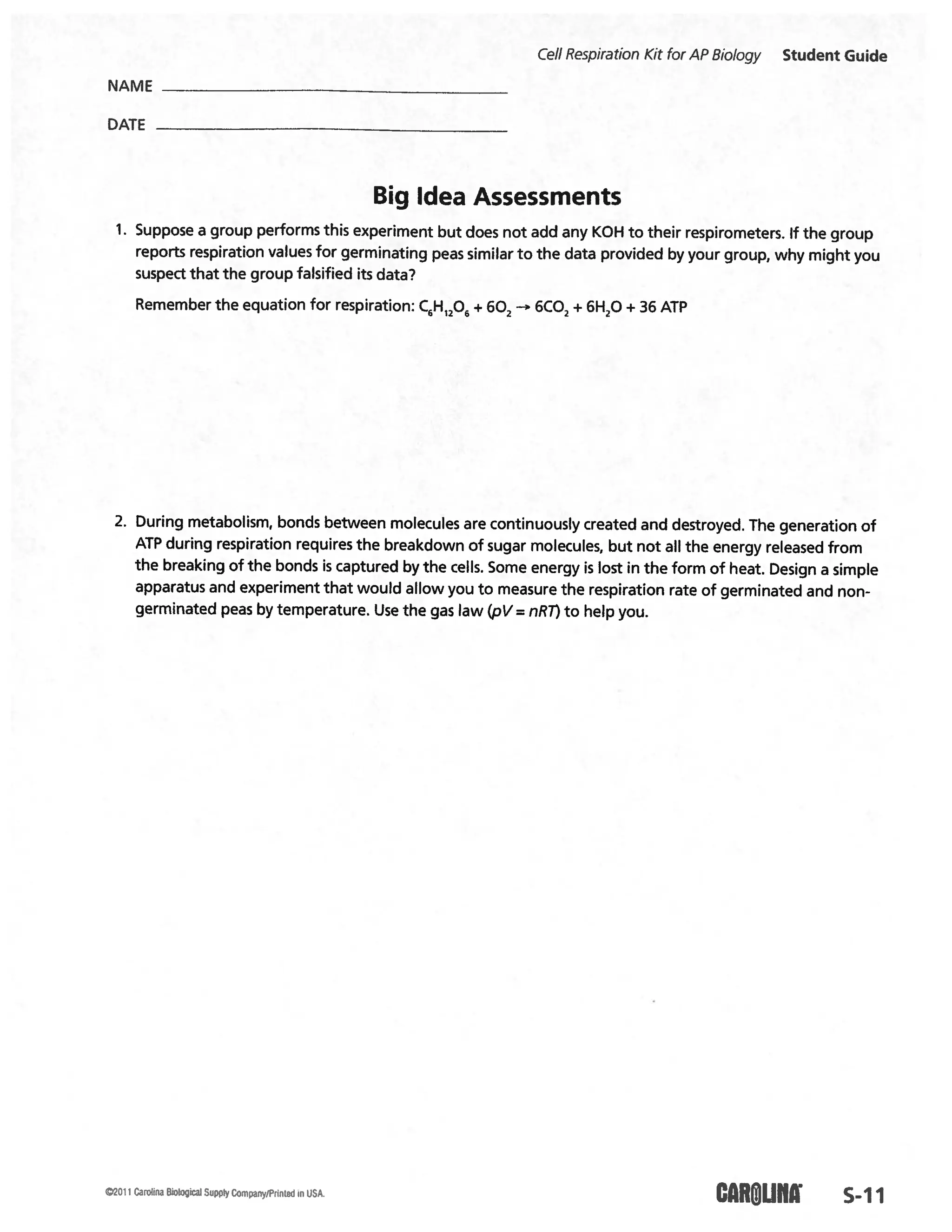 Cellular respiration lab