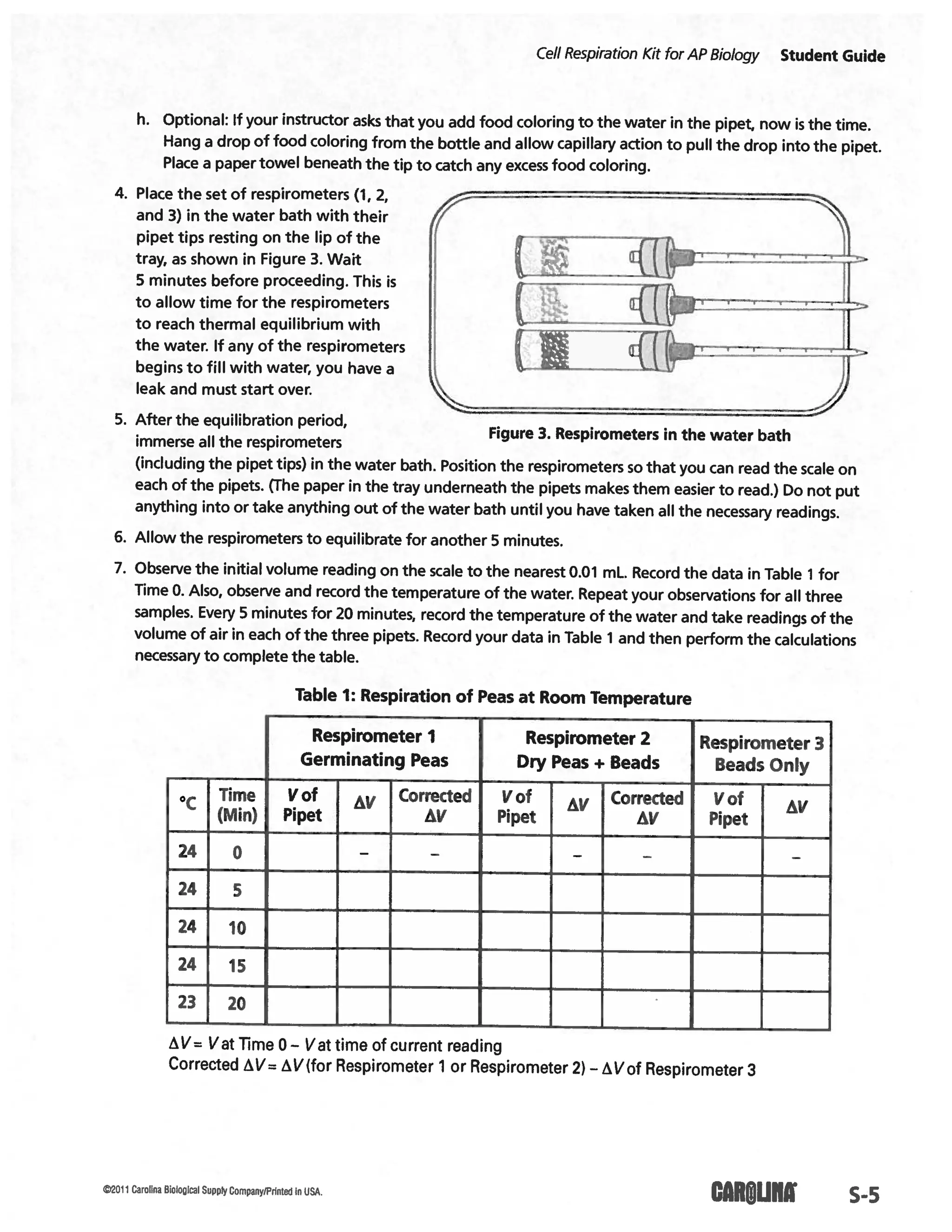 Cellular respiration lab