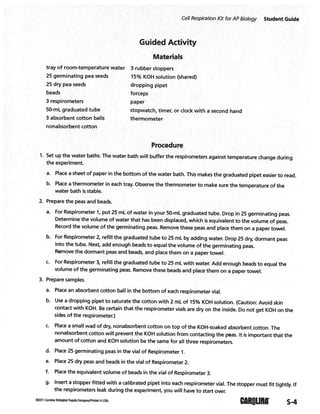 Cellular respiration lab