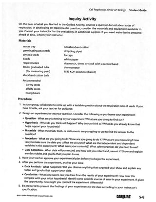 Cellular respiration lab