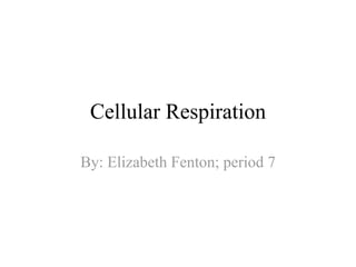 Cellular Respiration

By: Elizabeth Fenton; period 7
 