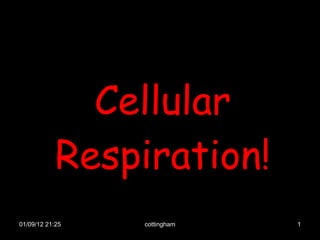 Cellular Respiration! 01/09/12   21:25 cottingham 
