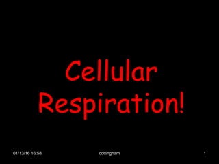 01/13/16 16:58 cottingham 1
Cellular
Respiration!
 