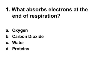 1. What absorbs electrons at the
end of respiration?
a. Oxygen
b. Carbon Dioxide
c. Water
d. Proteins
 