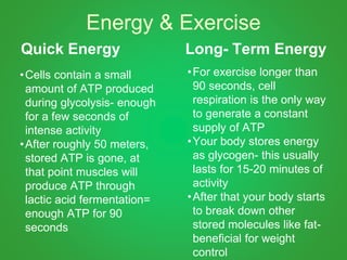Energy & Exercise
Quick Energy
•Cells contain a small
amount of ATP produced
during glycolysis- enough
for a few seconds of
intense activity
•After roughly 50 meters,
stored ATP is gone, at
that point muscles will
produce ATP through
lactic acid fermentation=
enough ATP for 90
seconds
Long- Term Energy
•For exercise longer than
90 seconds, cell
respiration is the only way
to generate a constant
supply of ATP
•Your body stores energy
as glycogen- this usually
lasts for 15-20 minutes of
activity
•After that your body starts
to break down other
stored molecules like fat-
beneficial for weight
control
 