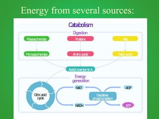 Energy from several sources:
 