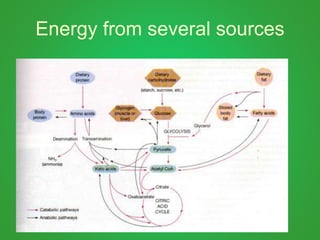 Energy from several sources
 