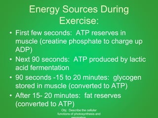 Energy Sources During
Exercise:
• First few seconds: ATP reserves in
muscle (creatine phosphate to charge up
ADP)
• Next 90 seconds: ATP produced by lactic
acid fermentation
• 90 seconds -15 to 20 minutes: glycogen
stored in muscle (converted to ATP)
• After 15- 20 minutes: fat reserves
(converted to ATP)
Obj: Describe the cellular
functions of photosynthesis and
 