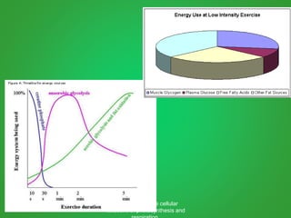 Obj: Describe the cellular
functions of photosynthesis and
 