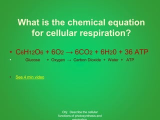 What is the chemical equation
for cellular respiration?
• C6H12O6 + 6O2 → 6CO2 + 6H20 + 36 ATP
• Glucose + Oxygen → Carbon Dioxide + Water + ATP
• See 4 min video
Obj: Describe the cellular
functions of photosynthesis and
 