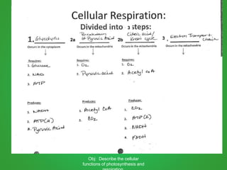 Obj: Describe the cellular
functions of photosynthesis and
2a 2b 3
3
 