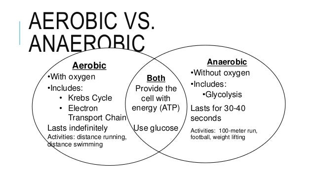 cellular respiration notes definition venn diagram