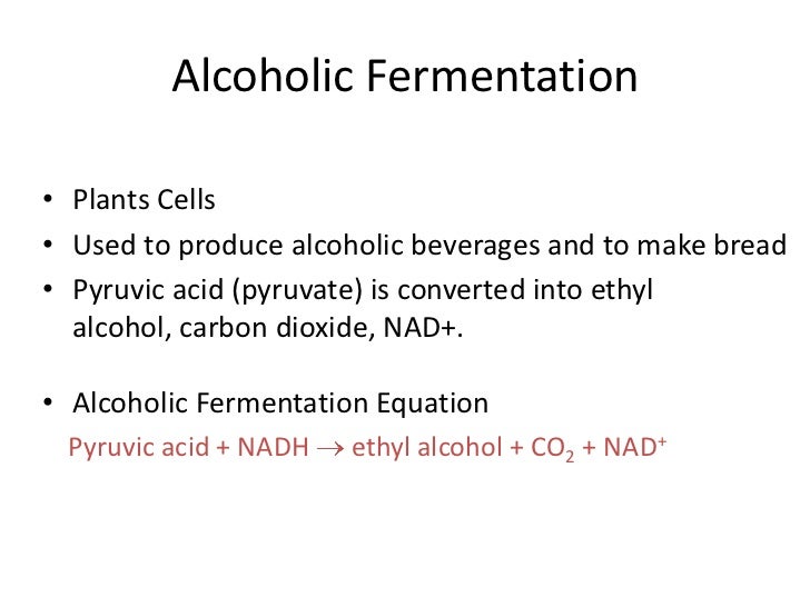 Cellular respiration part 1