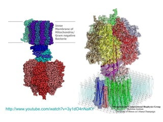 http://www.youtube.com/watch?v=3y1dO4nNaKY

 