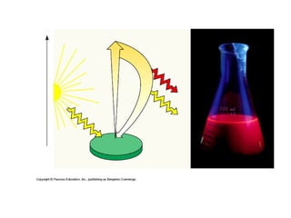 Honors ~ Cellular respiration & photosytnesis 1213