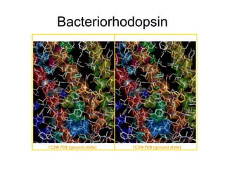 Bacteriorhodopsin

 