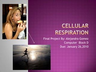 Cellular Respiration Final Project By: Alejandra Gomez Computer  Block D Due: January 26,2010 