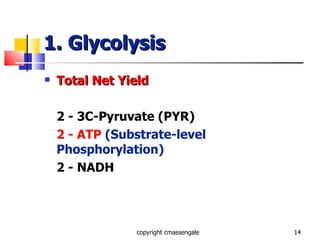 1. Glycolysis Total Net Yield 2 - 3C-Pyruvate (PYR) 2 - ATP  (Substrate-level Phosphorylation) 2 - NADH copyright cmassengale 