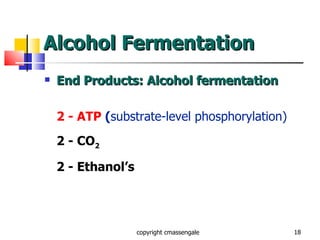 Alcohol Fermentation End Products: Alcohol fermentation 2 - ATP  ( substrate-level phosphorylation) 2 - CO 2 2 - Ethanol’s copyright cmassengale 