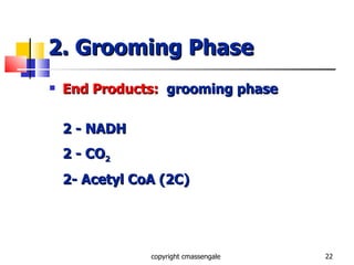 2. Grooming Phase End Products:  grooming phase 2 - NADH 2 - CO 2 2- Acetyl CoA (2C) copyright cmassengale 