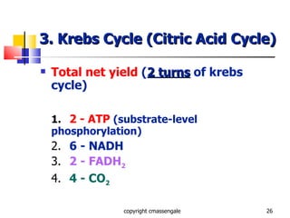 3. Krebs Cycle (Citric Acid Cycle) Total net yield   ( 2 turns   of krebs cycle) 1. 2 - ATP  (substrate-level phosphorylation) 2. 6 - NADH 3. 2 - FADH 2 4. 4 - CO 2 copyright cmassengale 