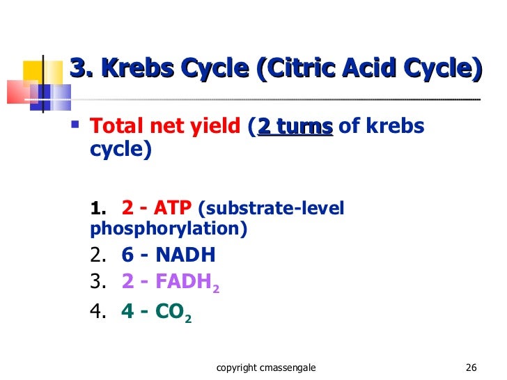Cellular respiration ppt