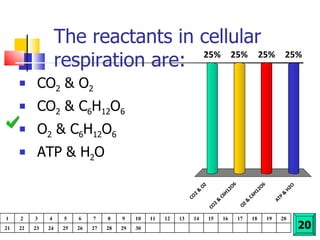 The reactants in cellular respiration are: CO 2  & O 2 CO 2  & C 6 H 12 O 6 O 2  & C 6 H 12 O 6 ATP & H 2 O 20 1 2 3 4 5 6 7 8 9 10 11 12 13 14 15 16 17 18 19 20 21 22 23 24 25 26 27 28 29 30 