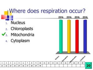 Where does respiration occur? Nucleus Chloroplasts Mitochondria Cytoplasm 20 1 2 3 4 5 6 7 8 9 10 11 12 13 14 15 16 17 18 19 20 21 22 23 24 25 26 27 28 29 30 
