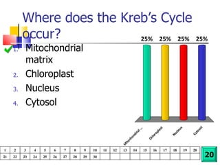 Where does the Kreb’s Cycle occur? Mitochondrial matrix Chloroplast Nucleus Cytosol 20 1 2 3 4 5 6 7 8 9 10 11 12 13 14 15 16 17 18 19 20 21 22 23 24 25 26 27 28 29 30 