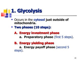 1. Glycolysis Occurs in the   cytosol  just outside of mitochondria. Two phases (10 steps): A.  Energy investment phase a.  Preparatory phase   (first 5 steps) . B.  Energy yielding phase a.  Energy payoff phase  (second 5 steps) . 