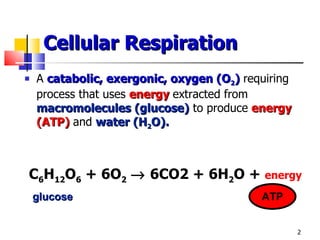 Cellular Respiration A  catabolic, exergonic, oxygen (O 2 )   requiring process that uses  energy   extracted from  macromolecules (glucose)  to produce  energy (ATP)   and  water (H 2 O). C 6 H 12 O 6  + 6O 2     6CO2 + 6H 2 O +  energy glucose ATP 