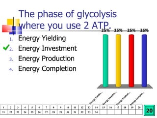 The phase of glycolysis where you use 2 ATP. Energy Yielding Energy Investment Energy Production Energy Completion 20 1 2 3 4 5 6 7 8 9 10 11 12 13 14 15 16 17 18 19 20 21 22 23 24 25 26 27 28 29 30 31 32 33 34 