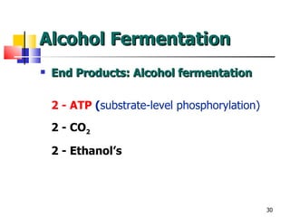 Alcohol Fermentation End Products: Alcohol fermentation 2 - ATP  ( substrate-level phosphorylation) 2 - CO 2 2 - Ethanol’s 