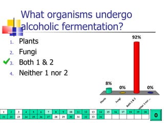 What organisms undergo alcoholic fermentation? Plants Fungi Both 1 & 2 Neither 1 nor 2 0 1 2 3 4 5 6 7 8 9 10 11 12 13 14 15 16 17 18 19 20 21 22 23 24 25 26 27 28 29 30 31 32 33 34 