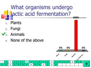 What organisms undergo lactic acid fermentation? Plants Fungi Animals None of the above 0 1 2 3 4 5 6 7 8 9 10 11 12 13 14 15 16 17 18 19 20 21 22 23 24 25 26 27 28 29 30 31 32 33 34 
