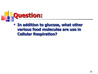 Question: In addition to glucose, what other various food molecules are use in Cellular Respiration? 