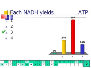 Each NADH yields _______ ATP 1 2 3 4 0 1 2 3 4 5 6 7 8 9 10 11 12 13 14 15 16 17 18 19 20 21 22 23 24 25 26 27 28 29 30 31 32 33 34 
