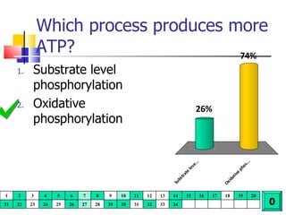 Which process produces more ATP? Substrate level phosphorylation Oxidative phosphorylation 0 1 2 3 4 5 6 7 8 9 10 11 12 13 14 15 16 17 18 19 20 21 22 23 24 25 26 27 28 29 30 31 32 33 34 
