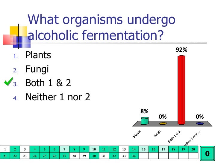 Do Plants Undergo Cellular Respiration Plant Ideas