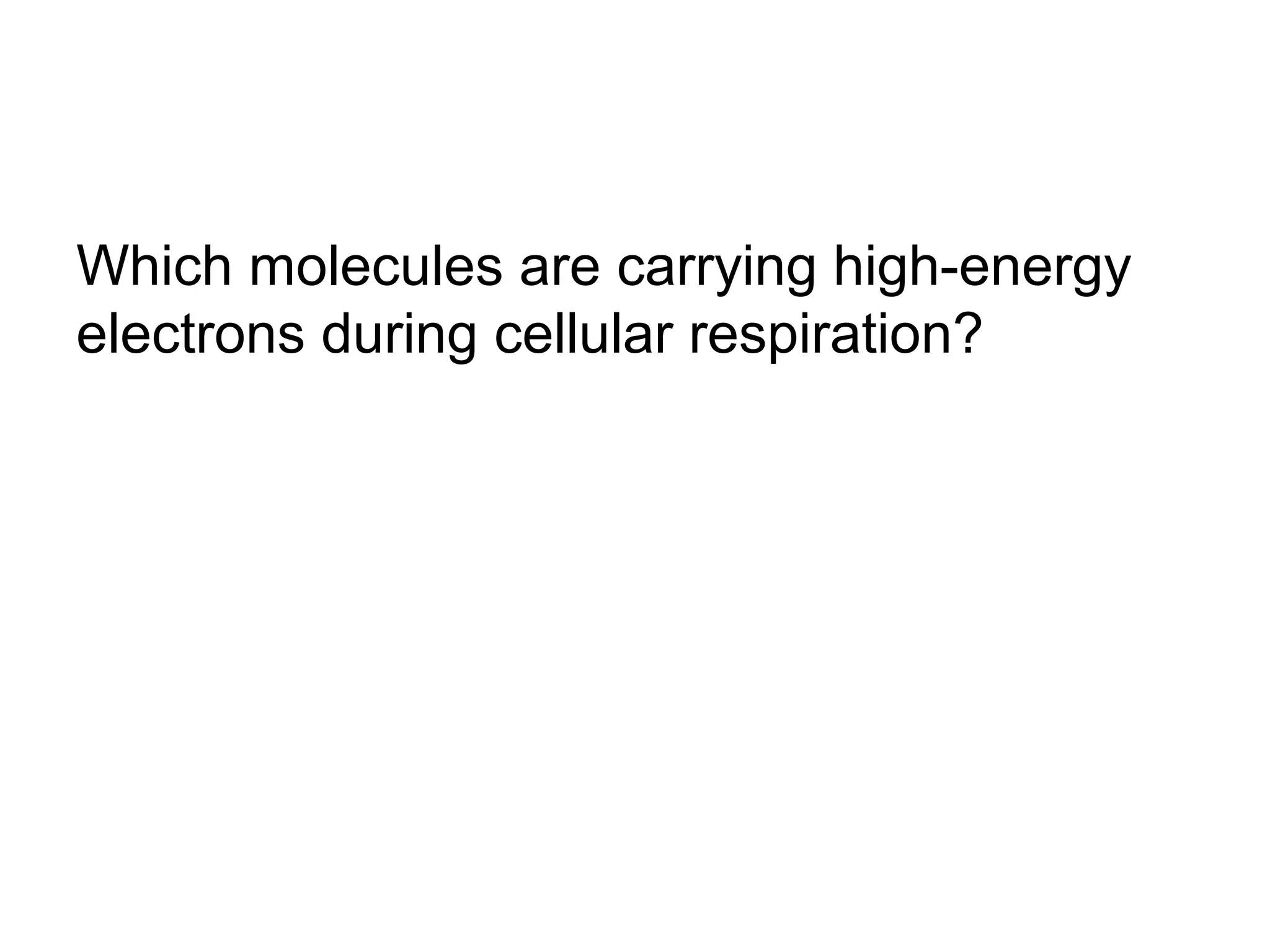 Which molecules are carrying high-energy
electrons during cellular respiration?
 