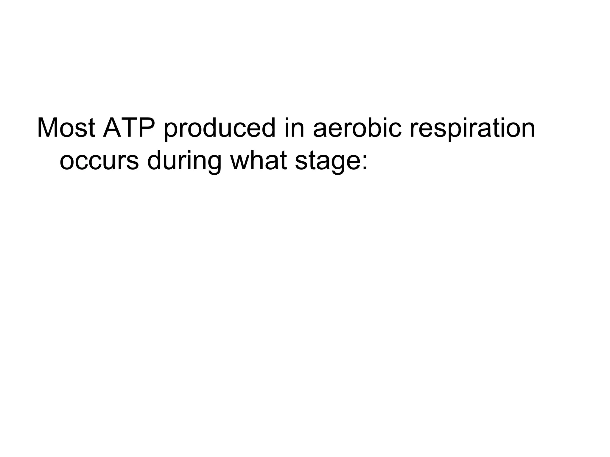 Most ATP produced in aerobic respiration
 occurs during what stage:
 