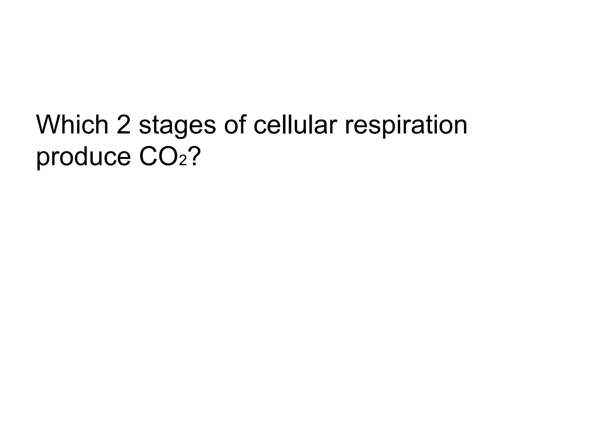 Which 2 stages of cellular respiration
produce CO2?
 