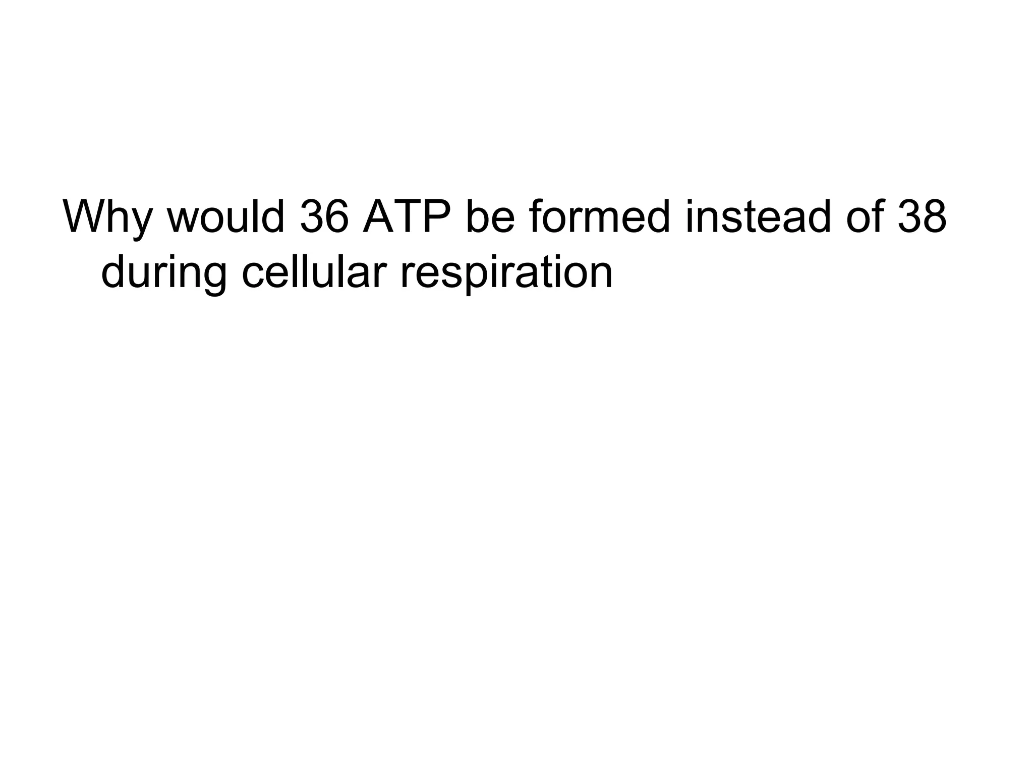 Why would 36 ATP be formed instead of 38
 during cellular respiration
 