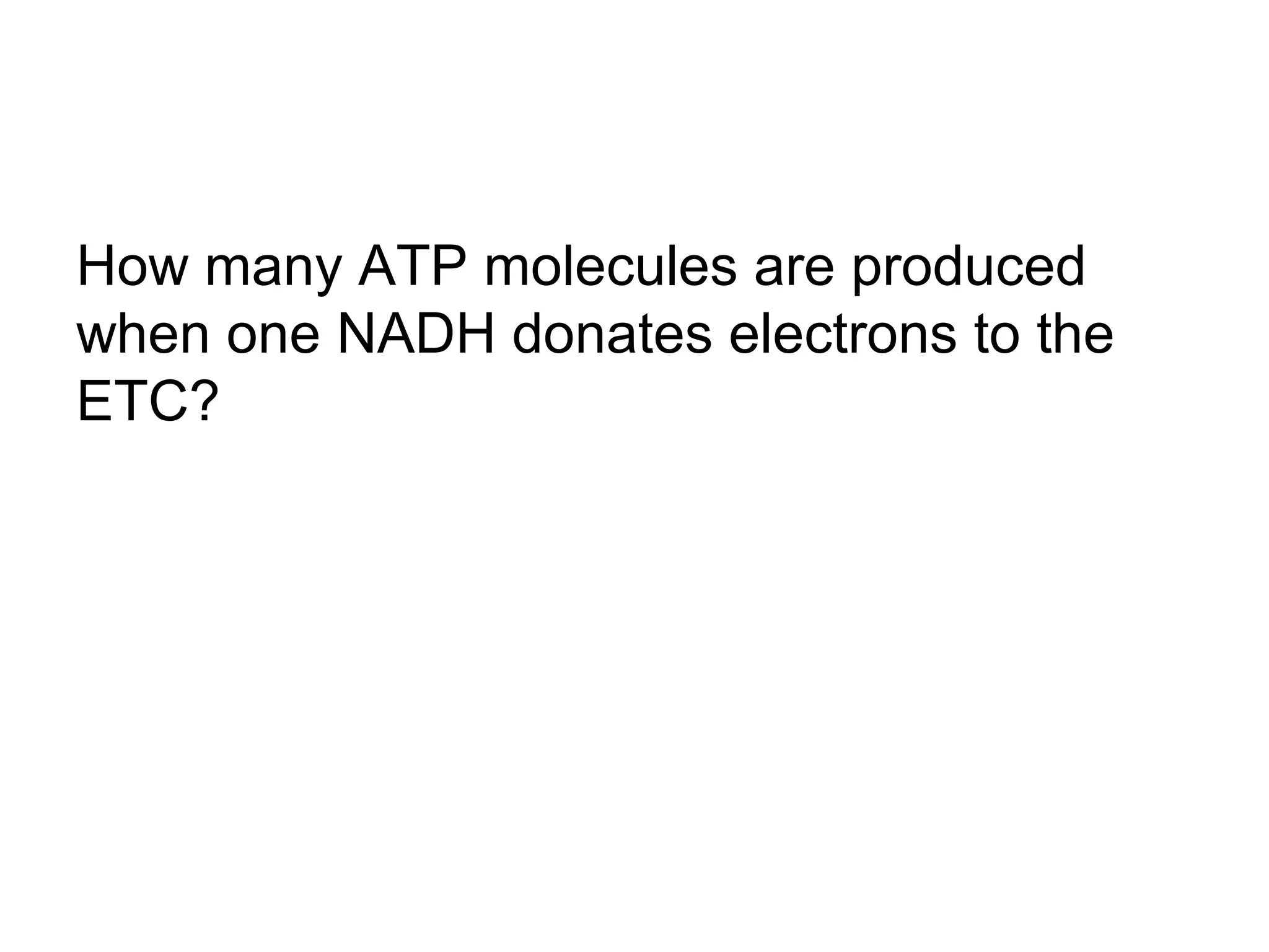 How many ATP molecules are produced
when one NADH donates electrons to the
ETC?
 