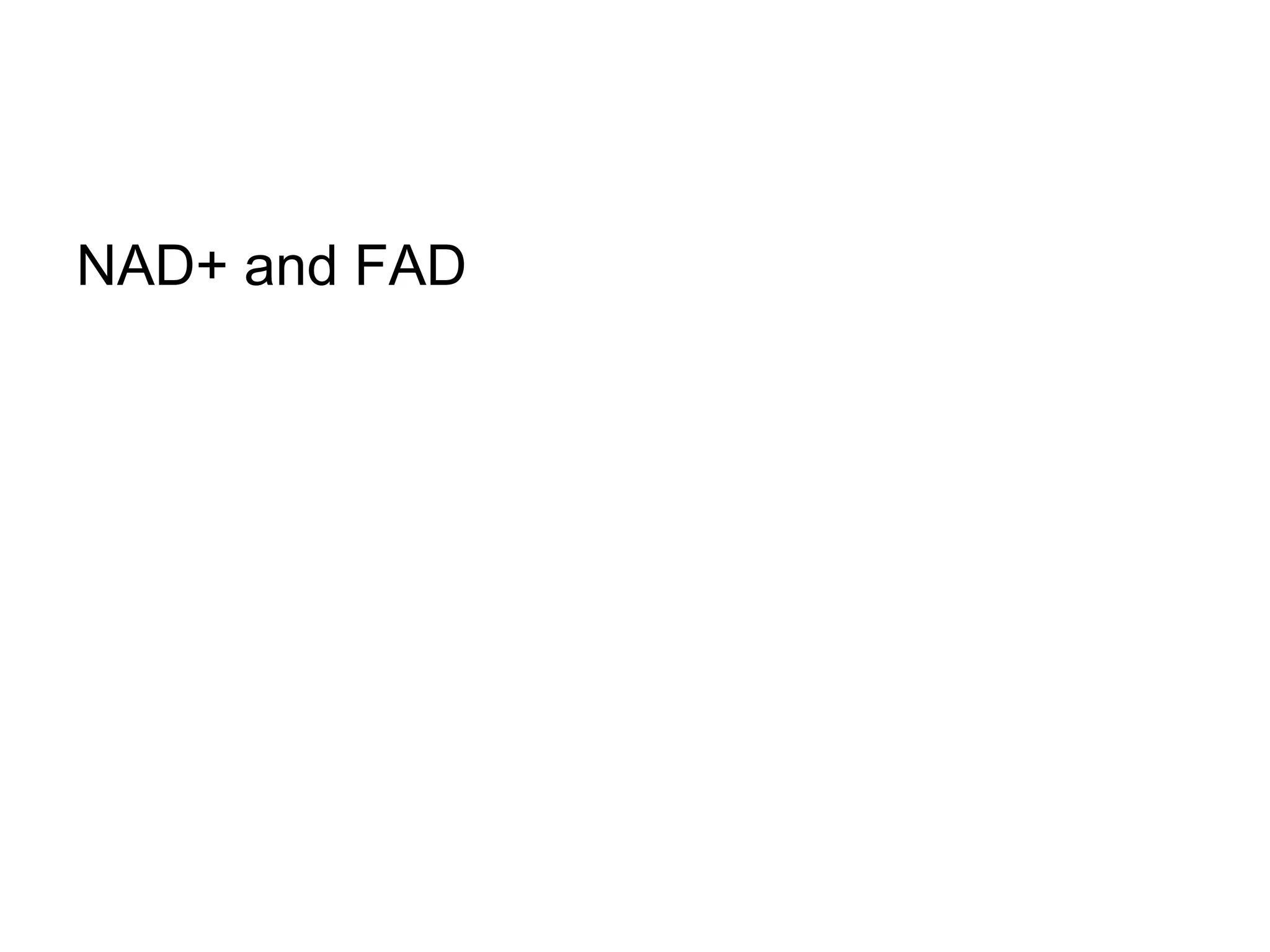 NAD+ and FAD
 