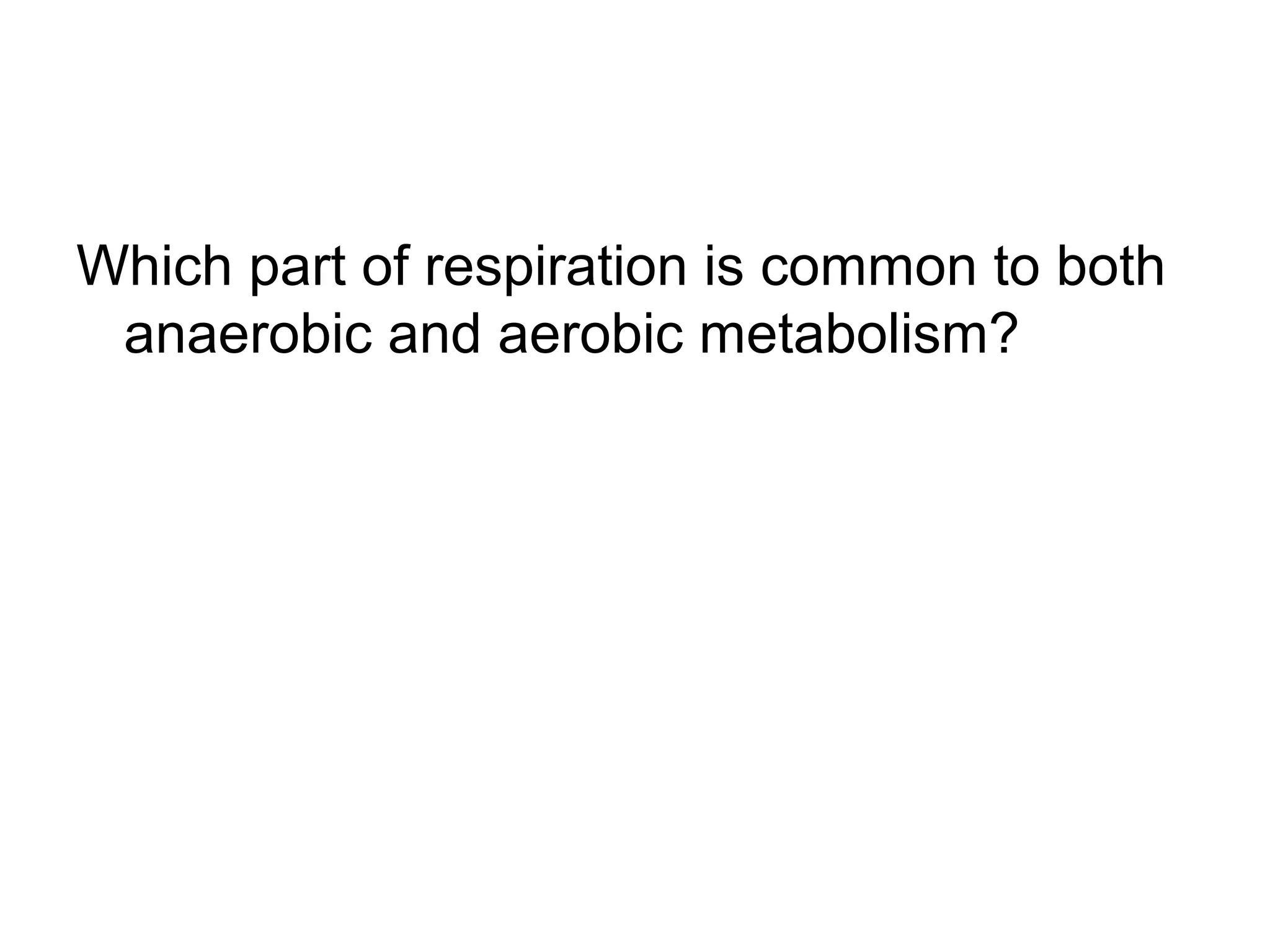 Which part of respiration is common to both
 anaerobic and aerobic metabolism?
 