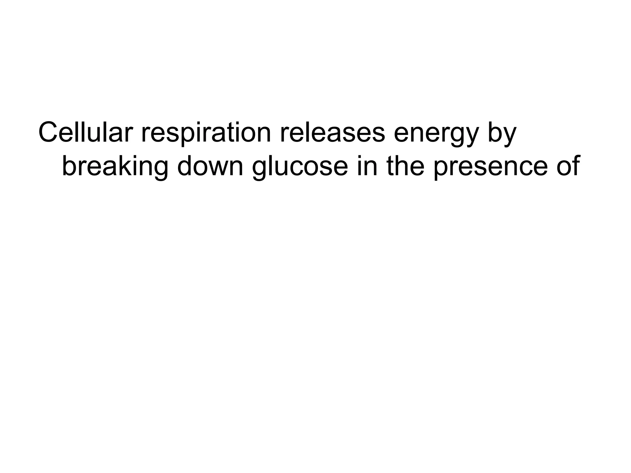 Cellular respiration releases energy by
 breaking down glucose in the presence of
 