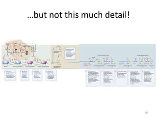 …but not this much detail!
20
 